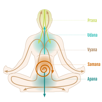 Prana (Life giving force) & Digestion